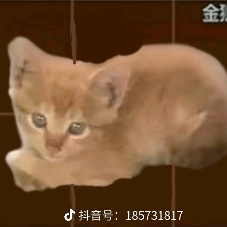 成功突围