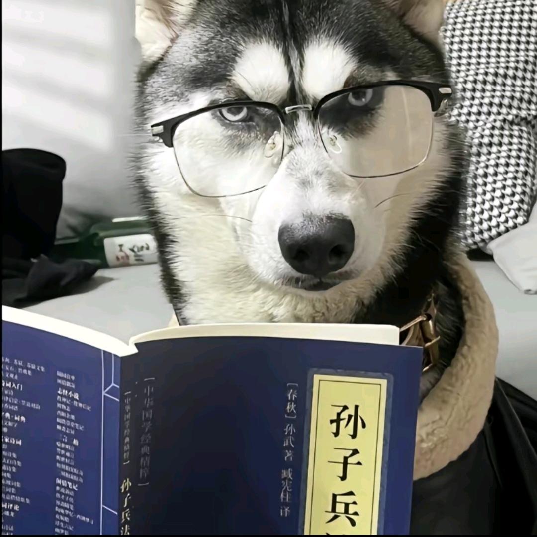 哈哈哈、