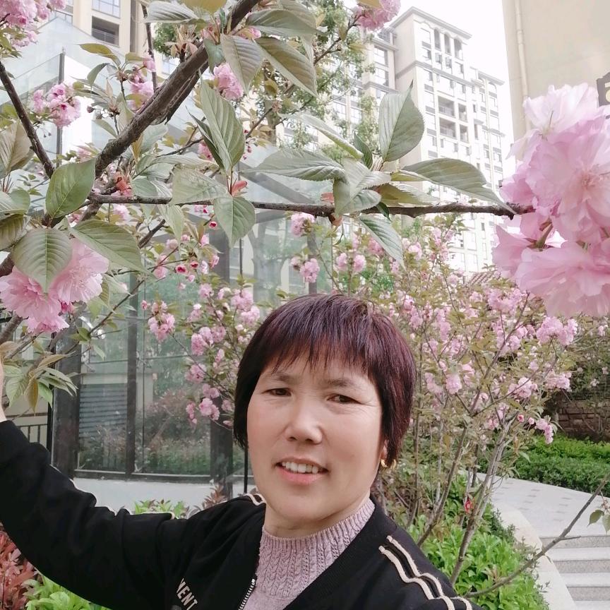 新feng