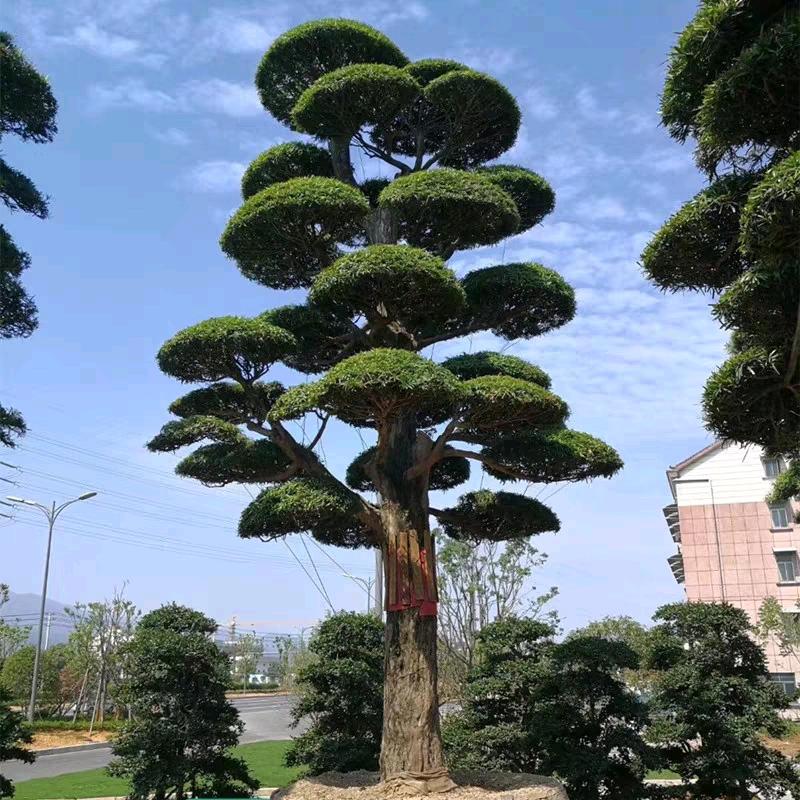 让爱成瘾