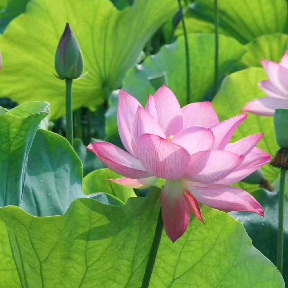 万校互联智能教育
