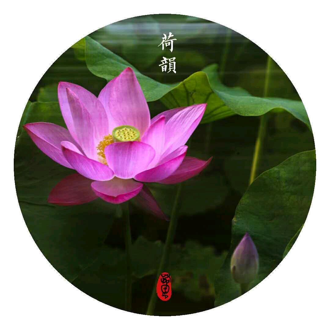 悠然