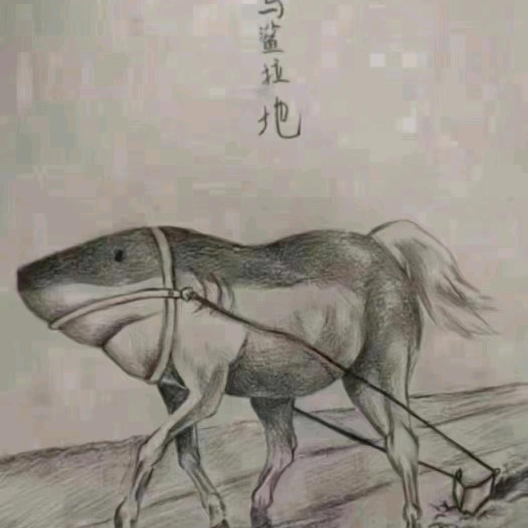 星跃老吴