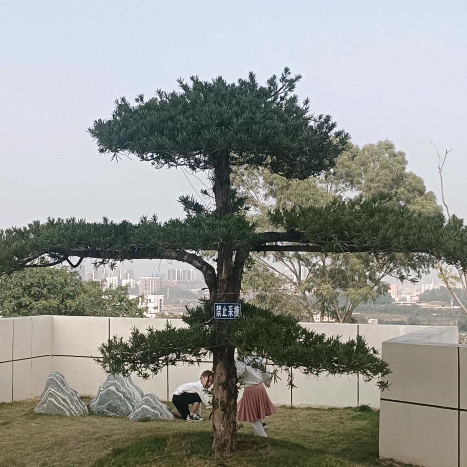 湖南辣妹子