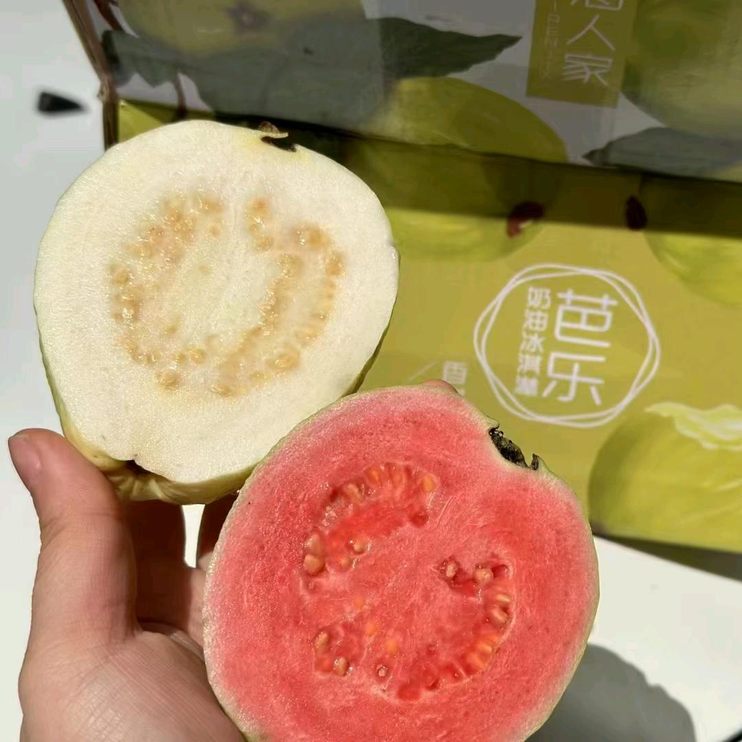 奶油芭乐供应链 -林妹妹