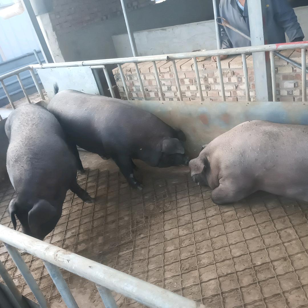 农村人生活