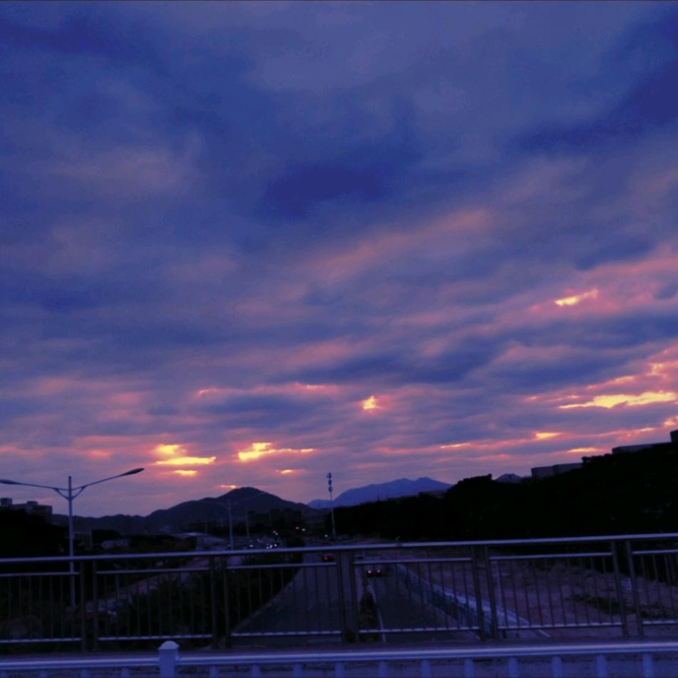 白菜芽