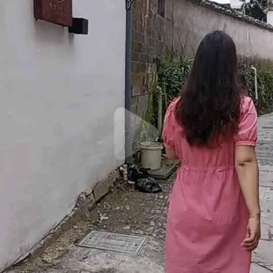 孤单的虎