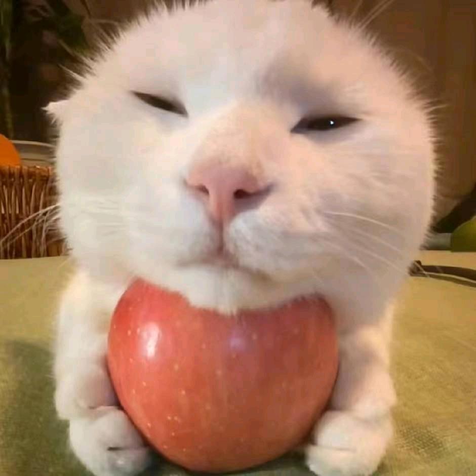 苹果垫脑