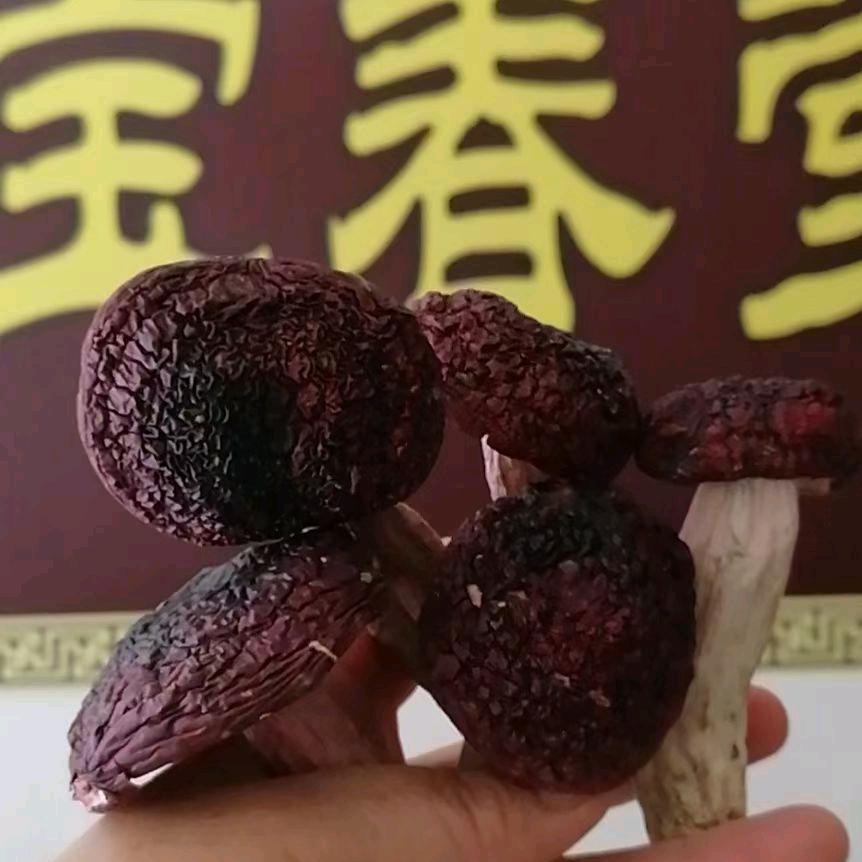 宝春堂