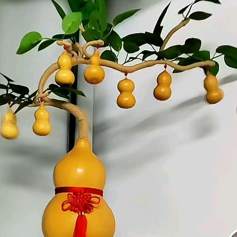 咖啡☕时光