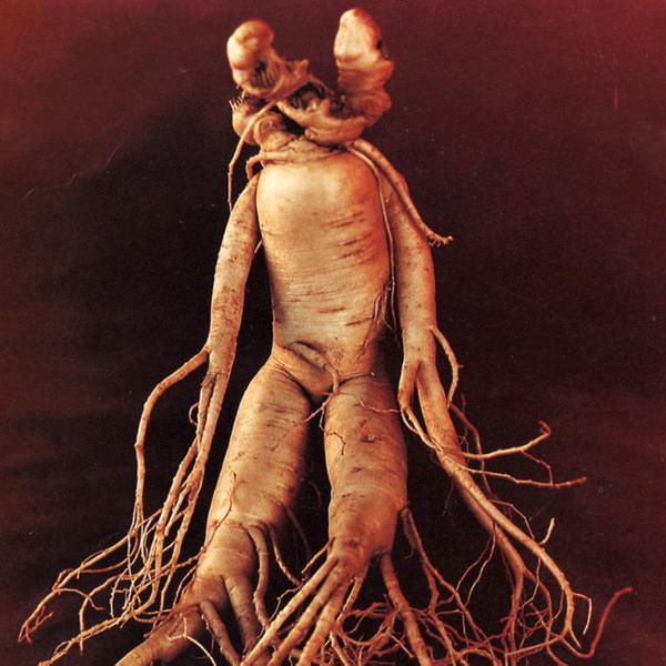 穿着拖鞋走出高调的步划