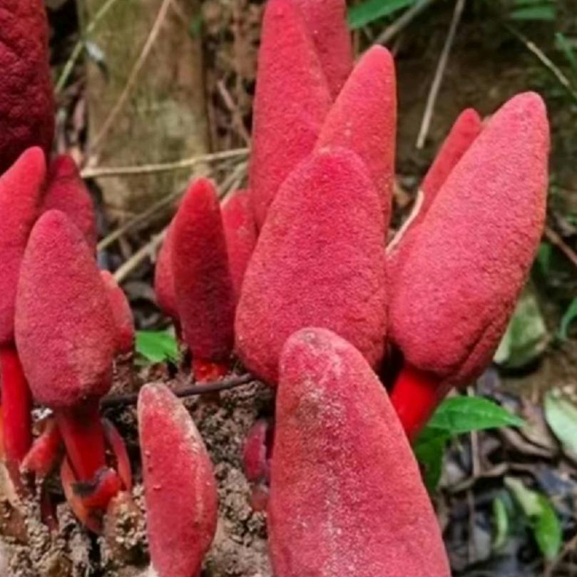 怎么开心怎么活🐷🐷