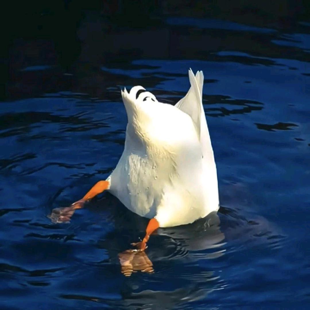 ☄