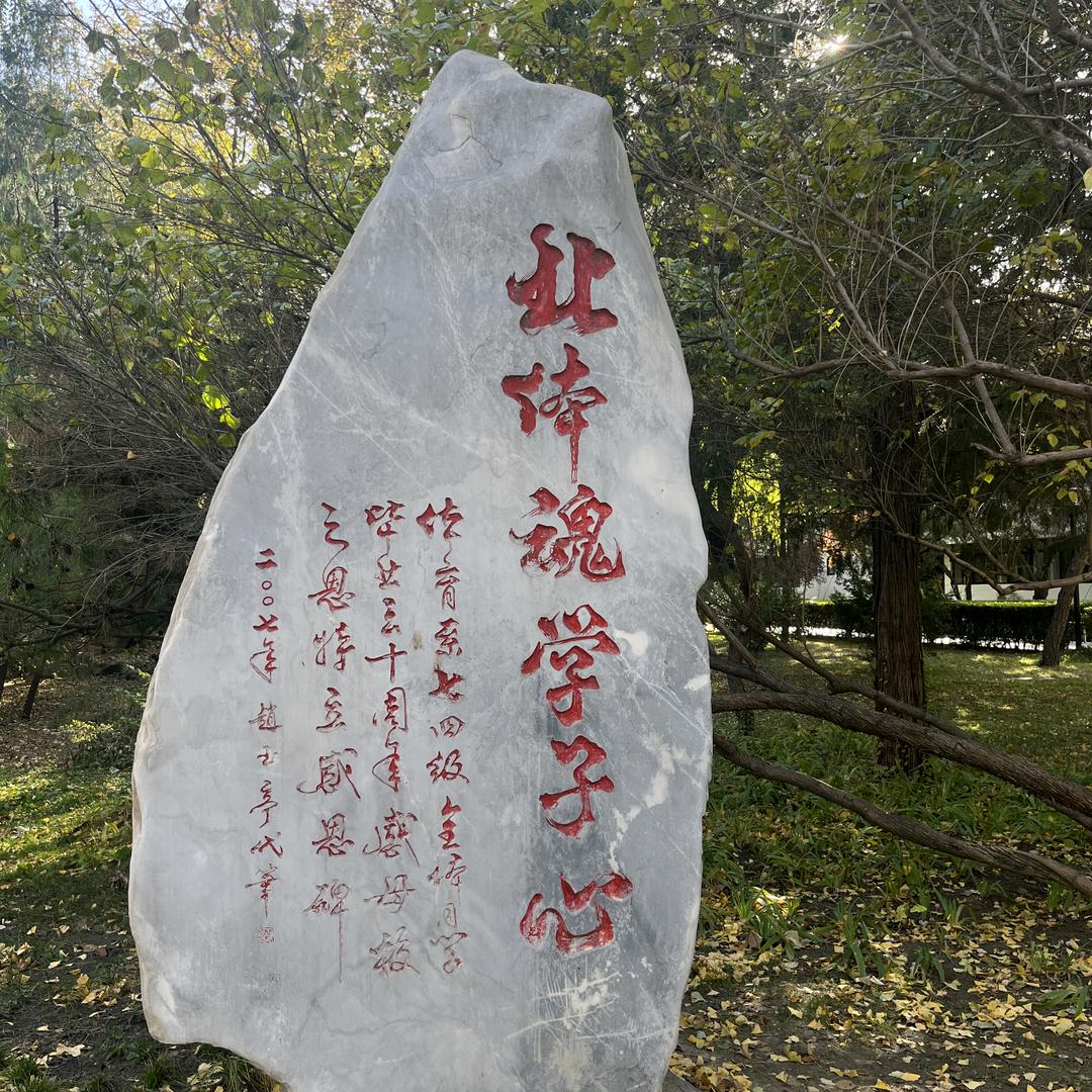 涛声依旧