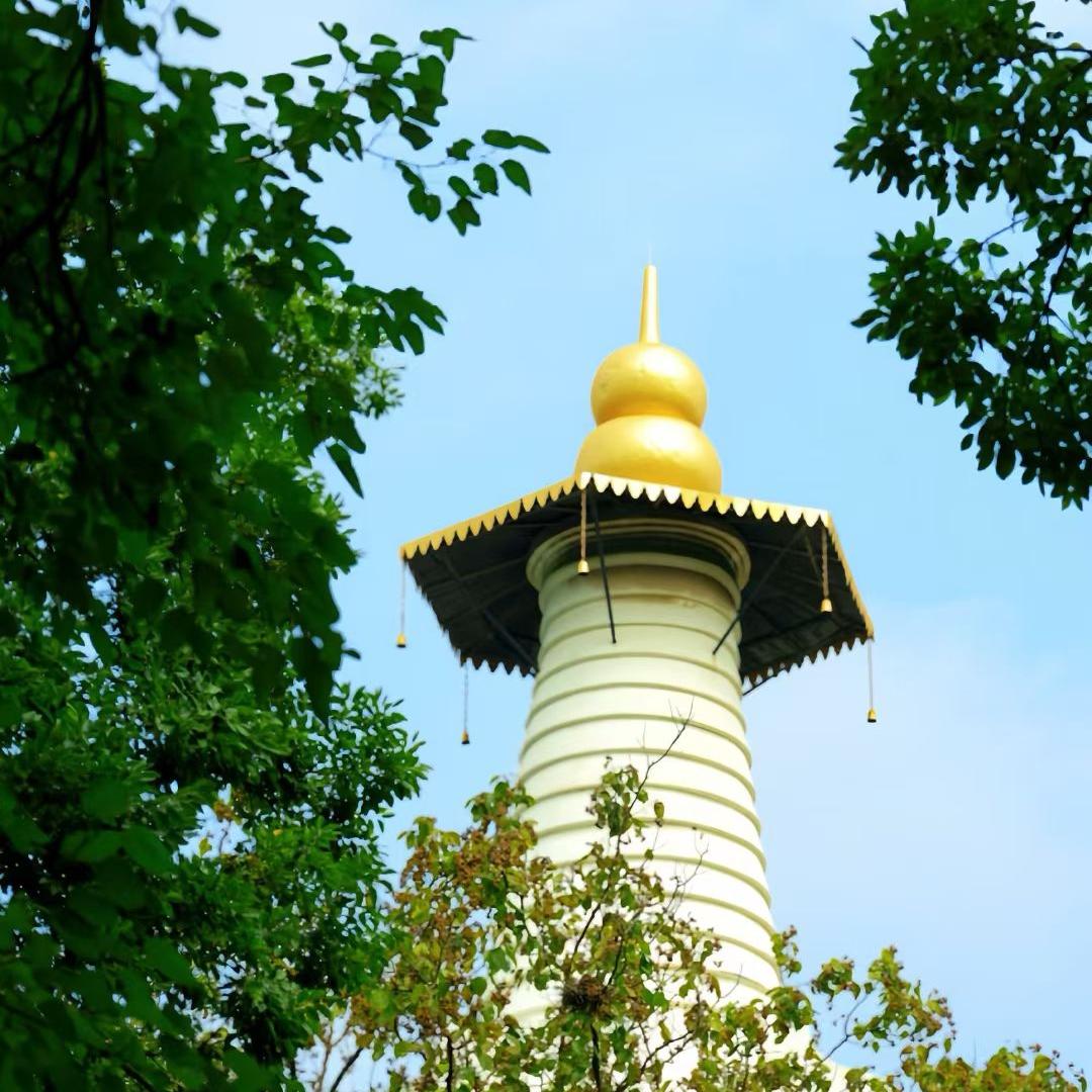 清风拂夏(☆^O^☆)