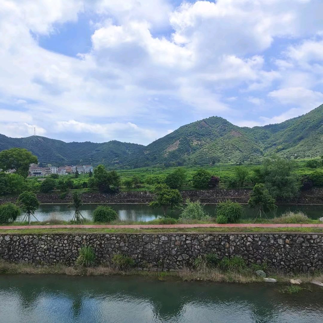 扬帆起航🐖📈