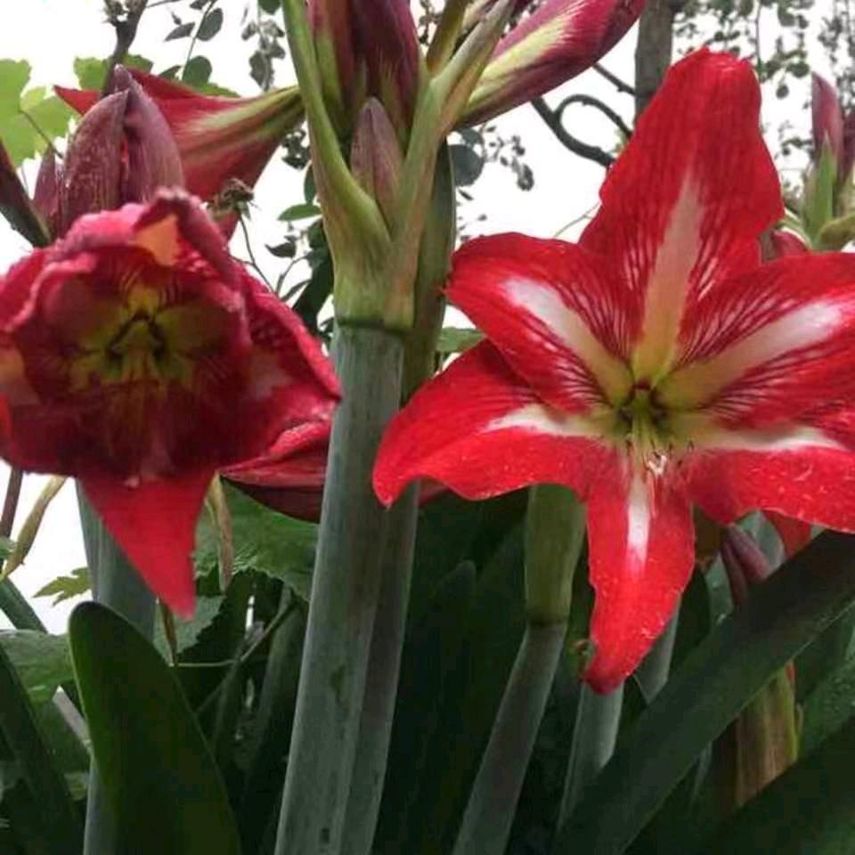 温柔老公公
