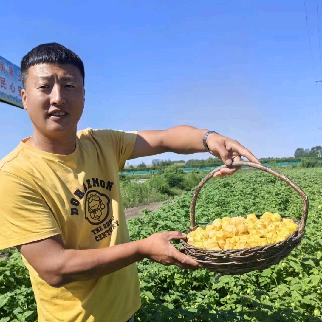 海伦周氏粘豆包