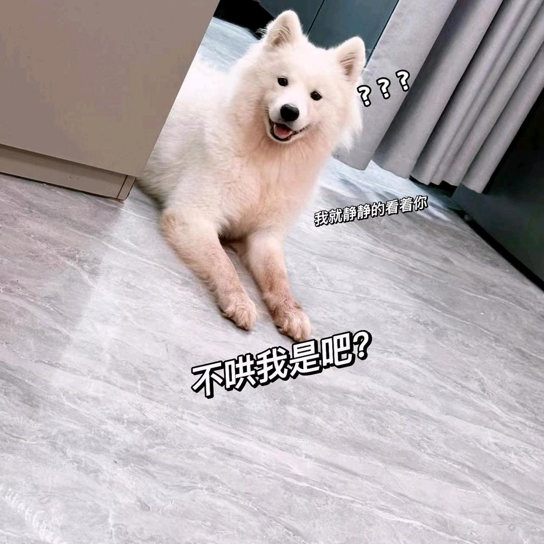 Hik