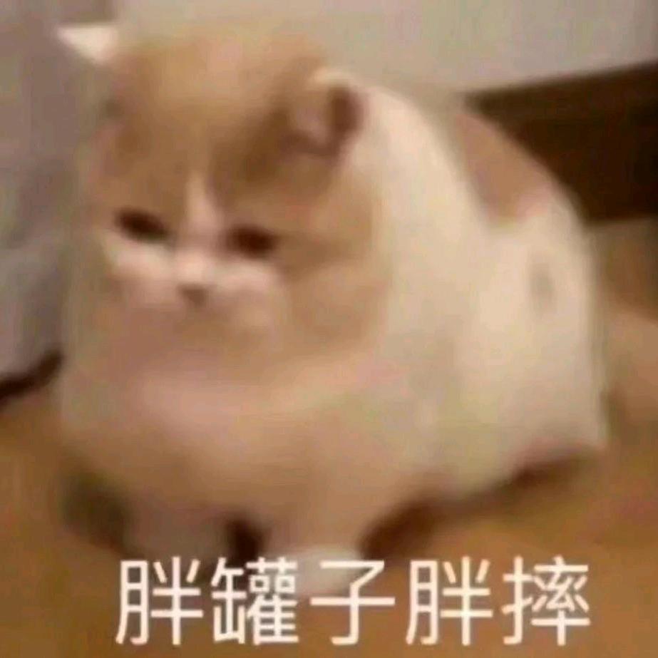 叶聖北