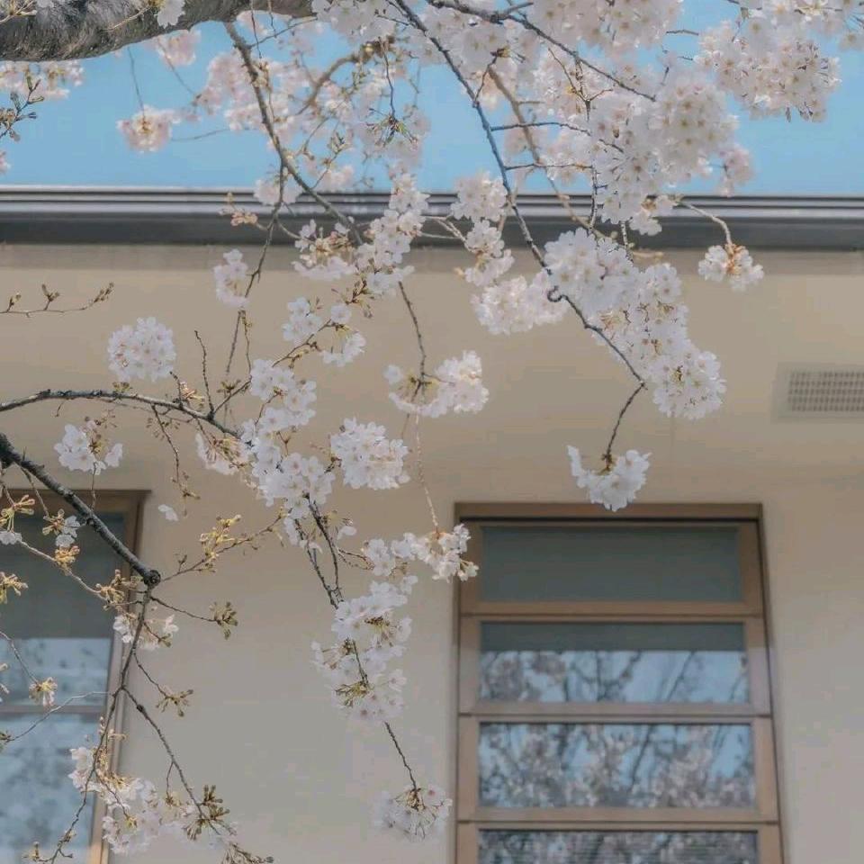 失眠协会常任理事长