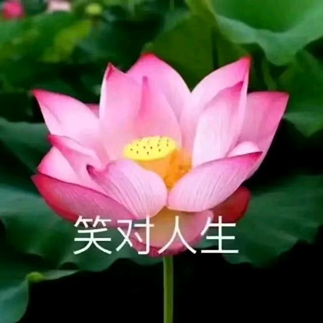 辛