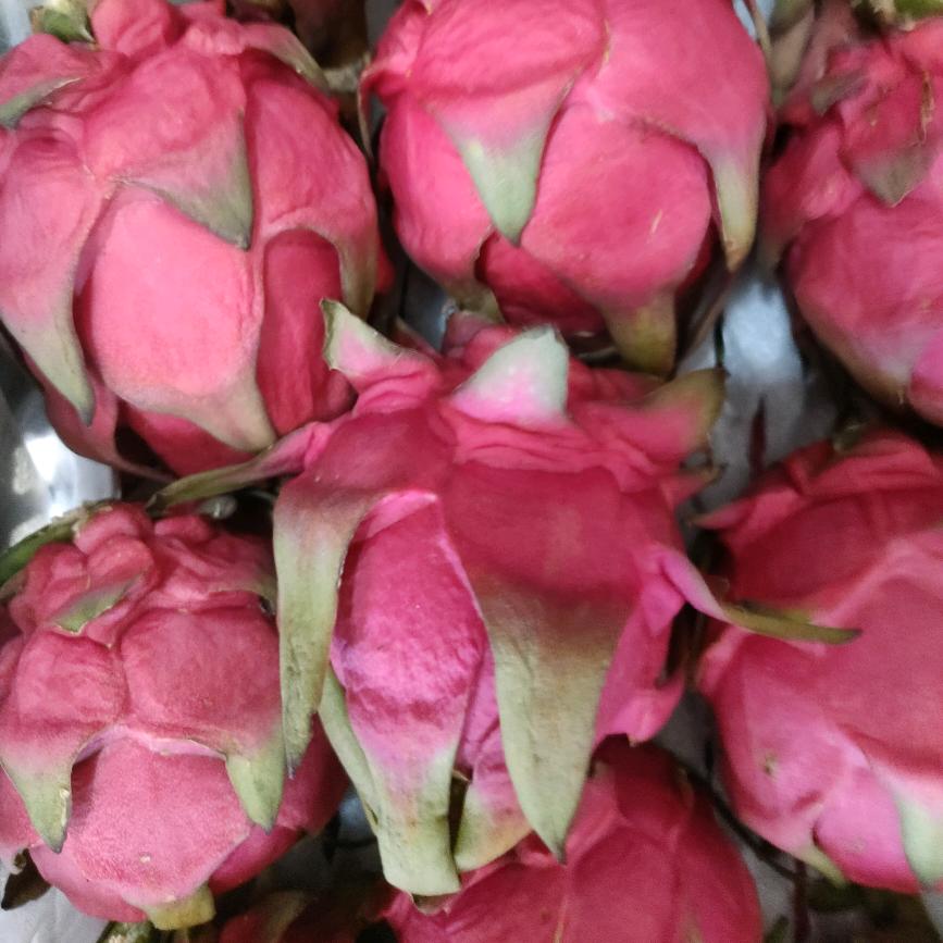 鲜果园水果批发行