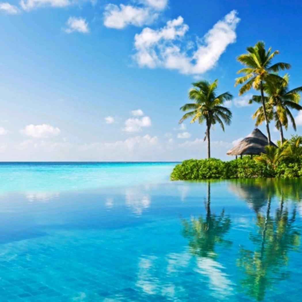 欣言老师讲饮食