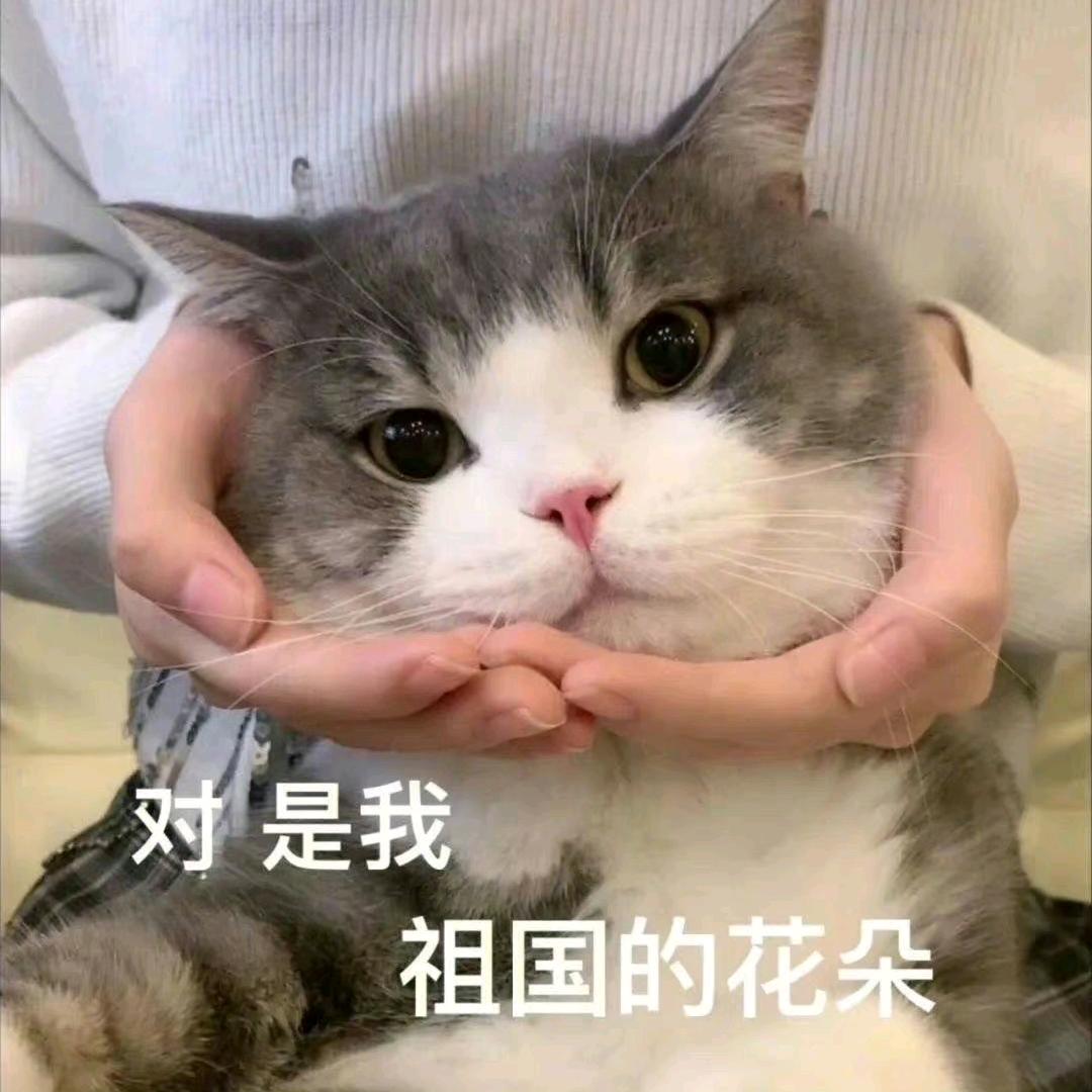 可口可乐味薯片❤️