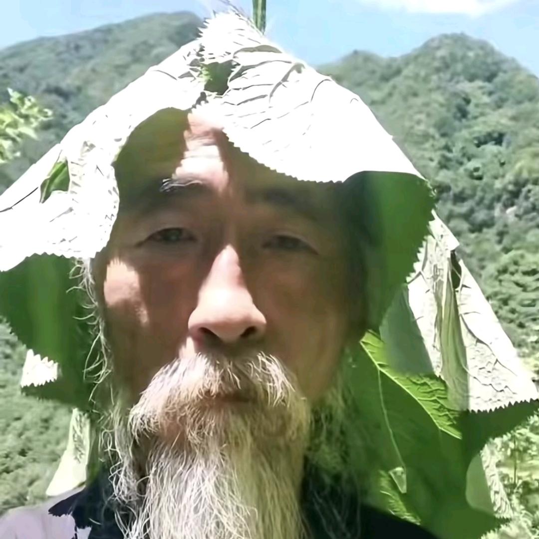 老登不要看我我的手段你知道的