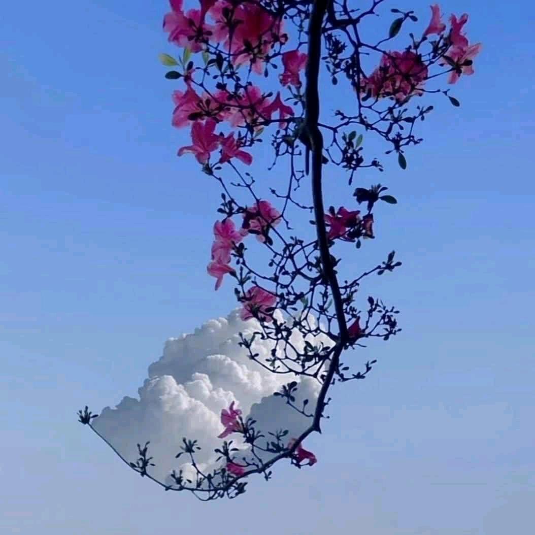 哎哟_卧槽🐘𓆡 𓆜 𓆝 𓆞