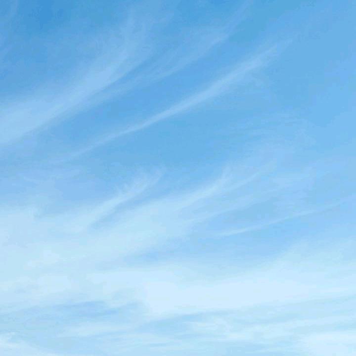 吴宸