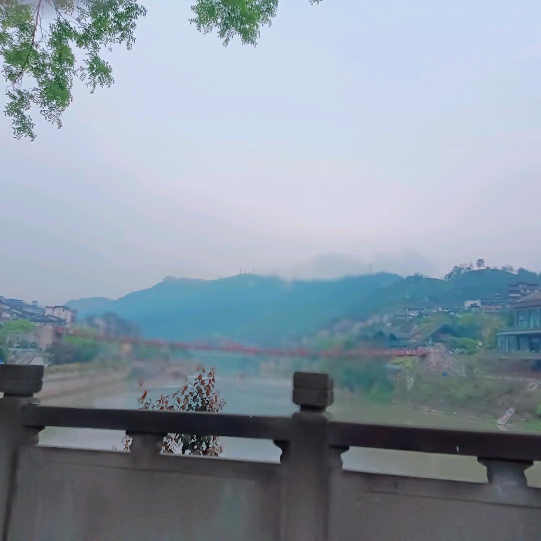 人无千日好……花无百日红📡