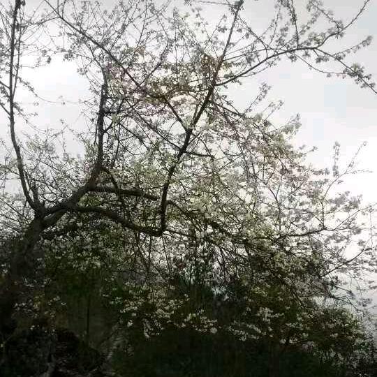 最熟悉的陌生人