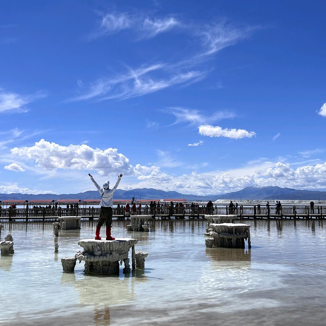 尼古拉斯.福六儿.