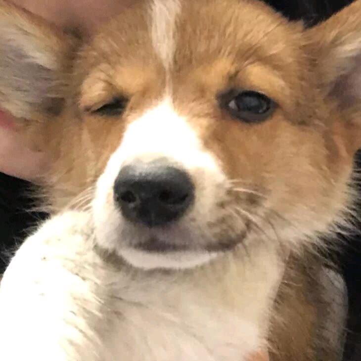 高冷是我的代名词