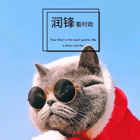 润锋财贸