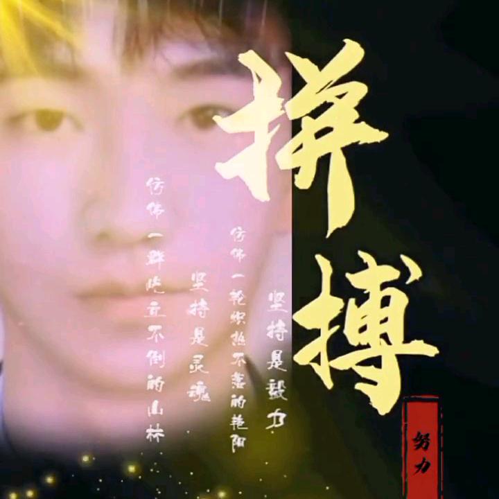 紫罗兰兰