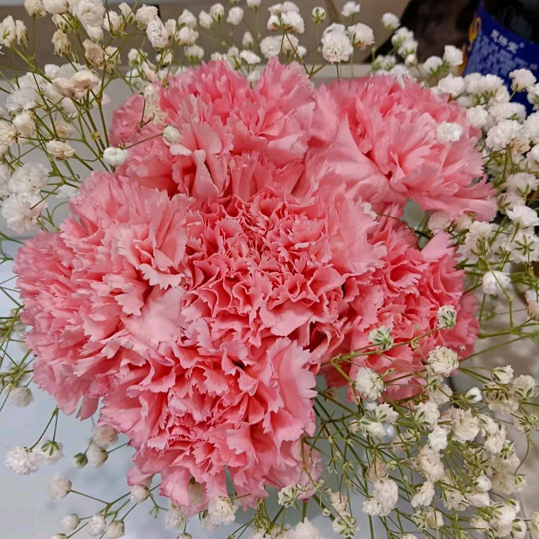 天天好心情！快乐🙂美一天