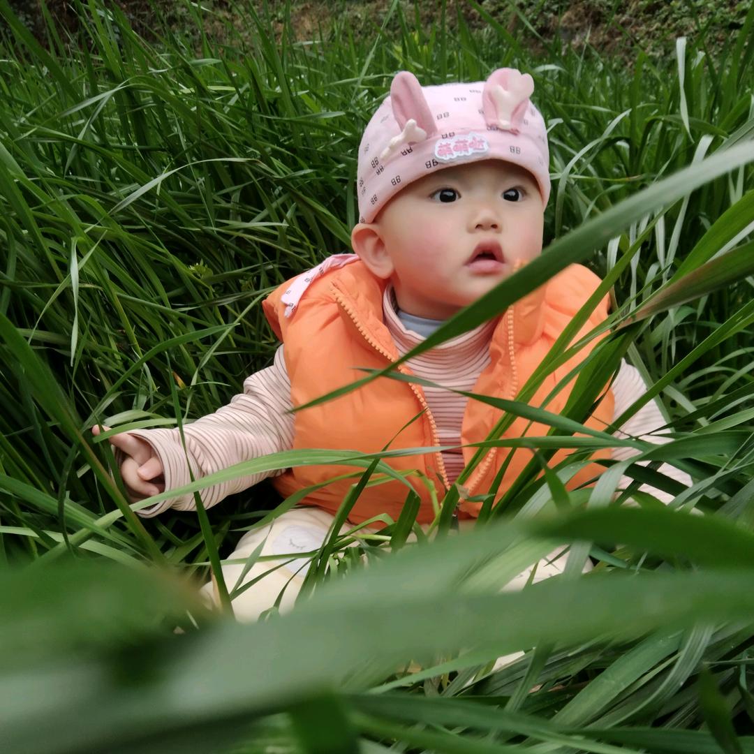 ✔₅₂₀💞࿐樊夫俗子鲜陈多