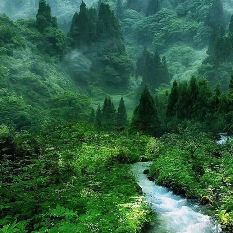 中枢到仁怀