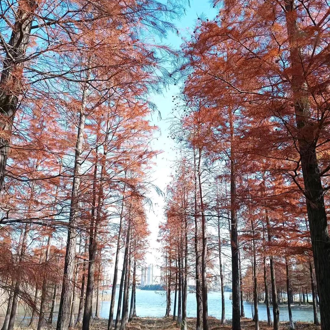 漫长的季节