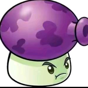 🟣🟣🟣🟣🟣🟣