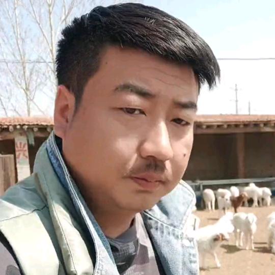 马晓伟
