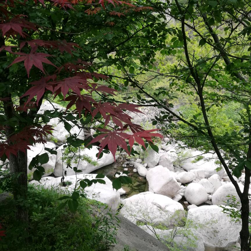 流水青山