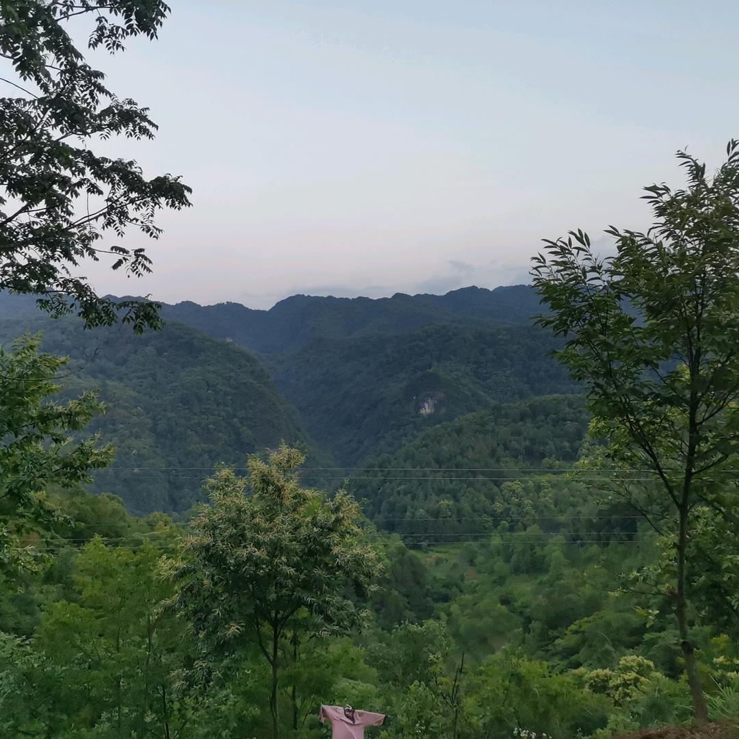 平平淡淡才是人生