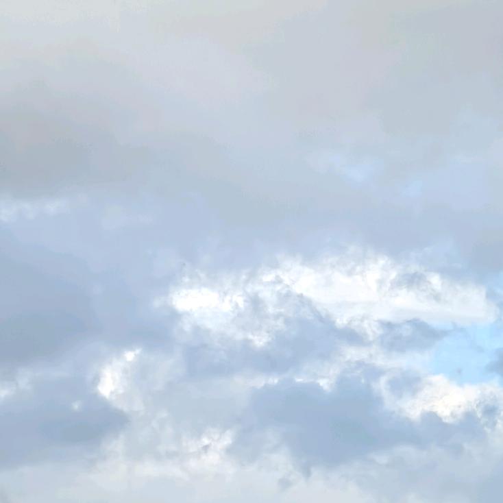 雨落随风