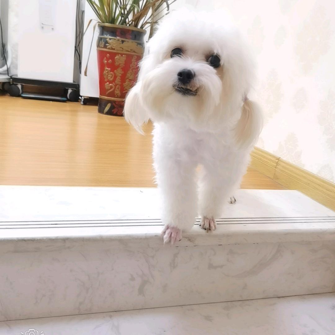 凡~泽