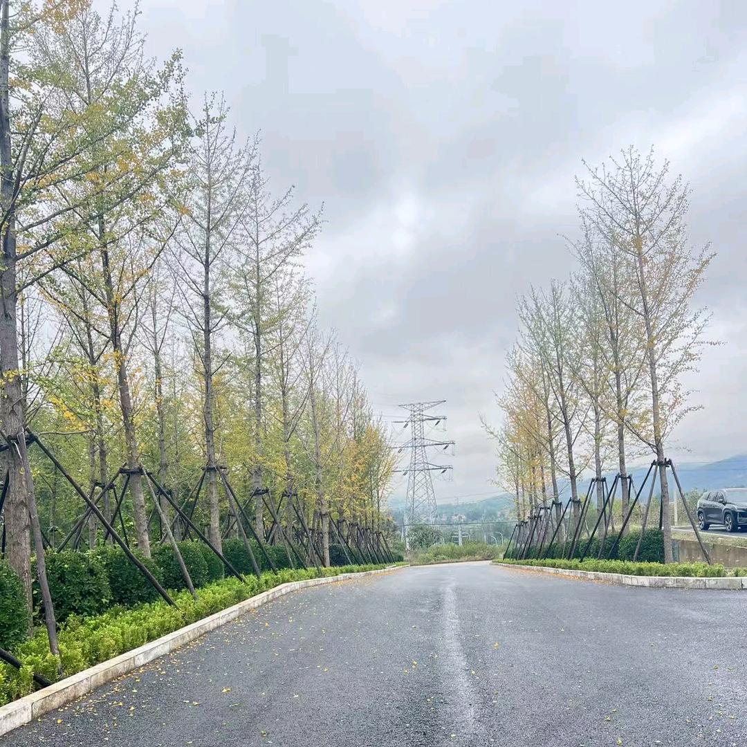 通勤路上带你看风景